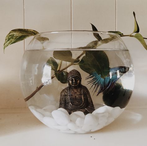 Beta Fish Bowl Ideas, Art Anime Tattoo, Nails Animation, Fish Bowl Centerpiece Wedding, Fish Bowl Ideas, Fish Taco Bowl, Betta Fish Bowl, Anime Tattoo Designs, Fish Tank Themes