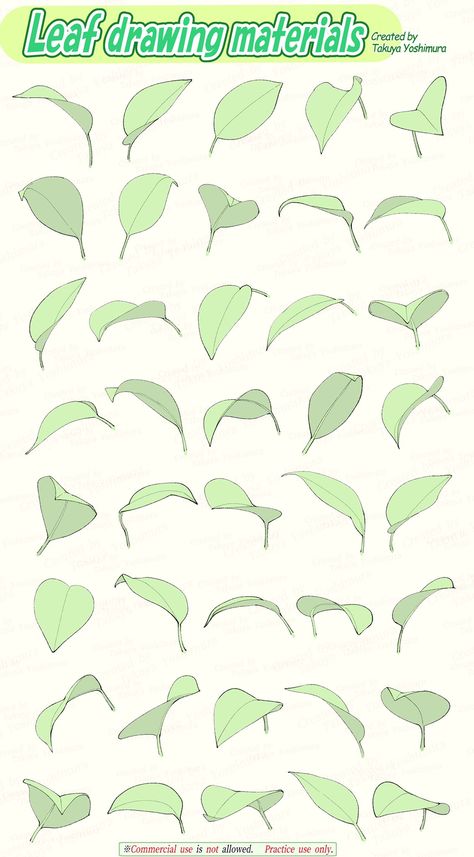 Leaf Shapes Drawing, Leaf Drawing Reference, How To Draw Leaves, Vegetation Drawing, Leafs Drawings, Leaf Reference, Draw Plants, Drawing Leaves, Plant Reference