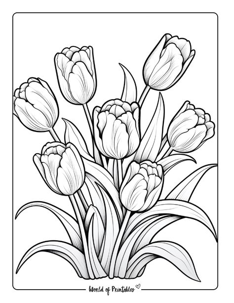 Coloring Pages Floral, Floral Colouring Pages, Flower Coloring Sheets Free Printable, Floral Coloring Pages Free Printable, Tulip Coloring Pages, Spring Coloring Sheets Free Printables, Colouring Pages Flowers, Free Colouring Printables, Free Coloring Pages Printables Adults