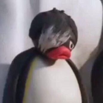 Pingu Memes, Pingu Pingu, Emo Memes, Funny Profile, 웃긴 사진, Funny Profile Pictures, Funny Reaction Pictures, Wholesome Memes, Cute Memes