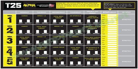 Download all three phases of the Focus T25 workout schedule in PDF format HERE! http://rippedclub.net/workouts/focus-t25-workout-schedule/ T25 Calendar, T25 Workout Schedule, T25 Workout, Workout Sheets, Focus T25, Beachbody Programs, Workout List, Beachbody Workouts, Insanity Workout