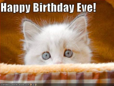 Happy Birthday Eve! Happy Birthday Eve, Birthday Eve, Funny Birthday Meme, Birthday Wishes For Daughter, Funny Nurse Quotes, Happy Birthday Meme, Funny Iphone Wallpaper, Happy Birthday Funny, Funny Happy Birthday