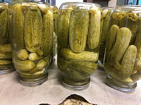 Pickles Homemade Easy, Canning Pickles Recipe, Easy Dill Pickles, Kosher Pickles, Garlic Dill Pickles, Homemade Pickles Dill, Kosher Dill Pickles, Pickle Recipes Homemade, Dill Pickle Recipe