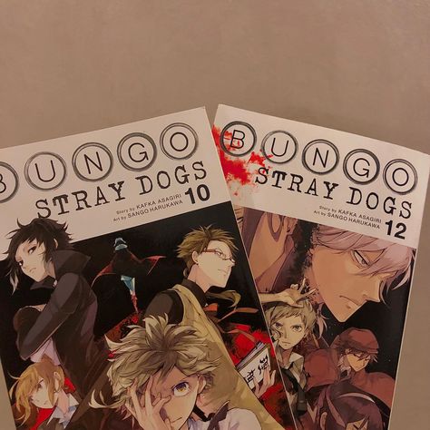 Bsd Manga Book, Bsd Books, Bungo Stray Dogs Aesthetic, Stray Dogs Aesthetic, Big Knife, Manga Shelf, Dogs Aesthetic, Port Mafia, Bsd Manga