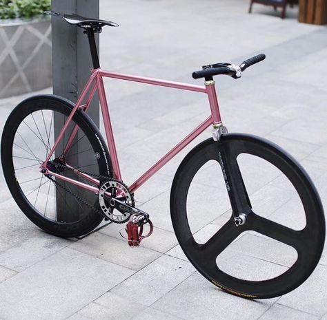 RIDE FAST, DIE LAST Fixie Bike Ideas, Modena Italy, Single Speed Bike, Urban Bicycle, Pink Bike, Ride Bicycle, Fixed Gear Bicycle, Fixed Bike, Bike Ideas