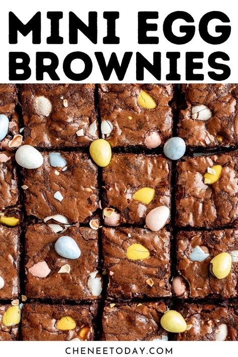 These mini egg brownies are so easy and are one of the best Easter Cadbury brownie recipes! These mini egg chocolate brownies are sure to be a hit! #brownies #brownie #brownierecipes #easterrecipes #easterdessert Cadbury Brownies, Cadbury Mini Egg Recipes, Cadbury Egg Recipes, Mini Egg Brownies, Mini Egg Recipes, Walnut Brownie Recipe, Easter Brownies, Chocolate Walnut Brownies, Recipes For Easter