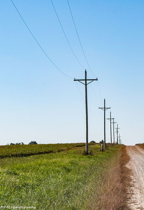 . Utility Pole Landscaping, Electric Pole, 1 Point Perspective, Road Landscape, Transmission Tower, Cotton Fields, Liminal Space, Power Lines, Point Perspective