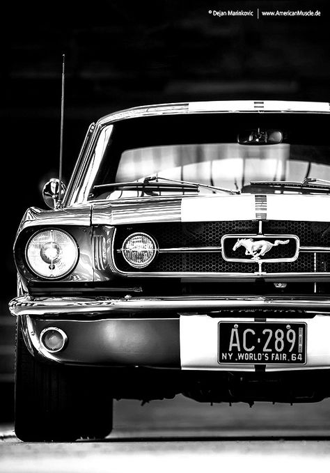 Old Mustang, 60s Muscle Cars, Mustang Wallpaper, Mustang Car, Cars Usa, Classic Mustang, Mustang Fastback, Ford Classic Cars, Mustang Cars