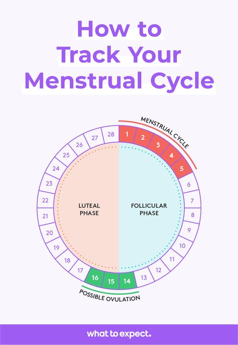 Trying to have a baby? Tuning into your body’s subtle signals to know when you’re ovulating can boost your chances of conceiving. Read more here on when's the best time in your cycle to get pregnant, how to track your menstrual cycle and more. Best Time To Get Pregnant, Menstrual Cycle Chart, Tracking Menstrual Cycle, Menstruation Cycle, Natural Birth Control, Ovulation Cycle, Monthly Cycle, Ovulation Tracking, Fertility Awareness Method