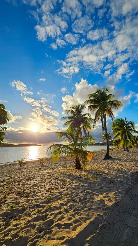 Tropical vibes at the end of the beach day 🌴🌊🥰 . . . #puertorico #beachdays #traveltheworld #caribbean #tropical #palmtrees #sunset Beautiful Beach Pictures, Beautiful Ocean Pictures, Pretty Beach, Tropical Beaches, Pretty Landscapes, Sunset Wallpaper, Beautiful Ocean, Summer Wallpaper, Summer Pictures