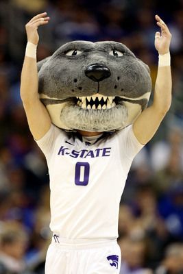 Kansas State's Willie the Wildcat Bulldog Mascot, Kansas State University, Purebred Dogs, Kansas State, Halloween Inspo, White Tiger, Blue White And Black, College Basketball, Great Stories