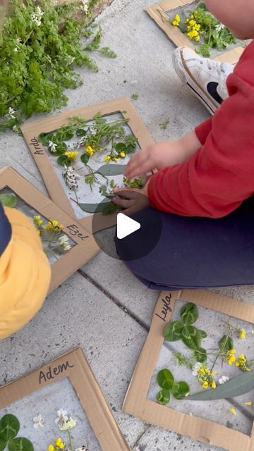 Nature frames and sticky collage boards.   Take your walks to the next level with these fun nature activities. Your children can experien... | Instagram Nature Walk Ideas Preschool, Outdoor Leaf Activities, Fall Garden Activities For Kids, Different Leaf Shapes, Nature Frames For Kids, Leaf Sensory Activities, Interesting Activities For Preschoolers, Nature Collage For Kids, Leaves Activity For Kids