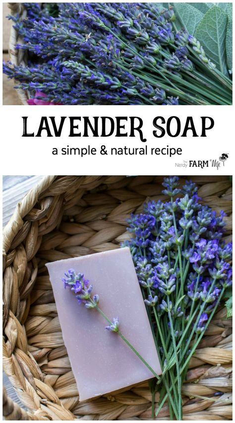 How to Make Handmade Lavender Soap from Scratch - this palm free recipe is naturally colored with purple clay and scented with lavender essential oil. Soap Piping, Lavender Soap Recipe, Lovely Greens, Handmade Lavender Soap, Wedding Soap, Lavender Crafts, Lye Soap, Handmade Soap Recipes, Cold Process Soap Recipes