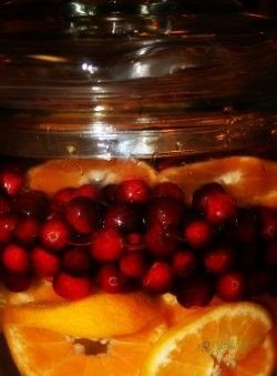 Water And Fruit Drinks Healthy, Winter Flavored Water, Holiday Water Recipes, Christmas Infused Water, Winter Infused Water Recipes, Infused Water For Thanksgiving, Thanksgiving Fruit Infused Water, Christmas Flavored Water, Fall Infused Water