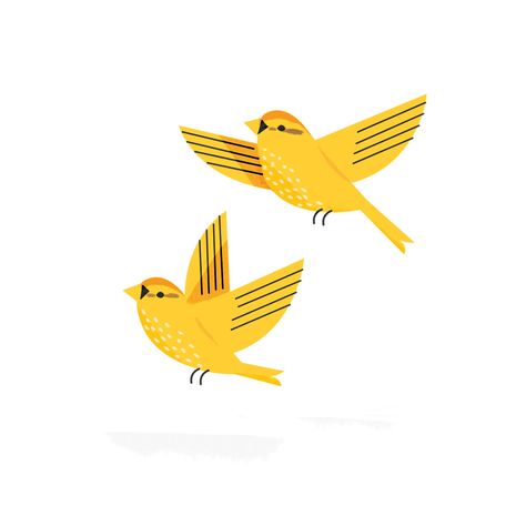 Yellow Bird Illustration ~ Mary Wald's Place -  sarah abbott. illustration, bird, simple, graphic, drawing, yellow Sarah Abbott, Yellow Birds, Illustration Kunst, 동화 삽화, Bird Graphic, Abstract Illustration, Yellow Bird, Screenprinting, The Zoo