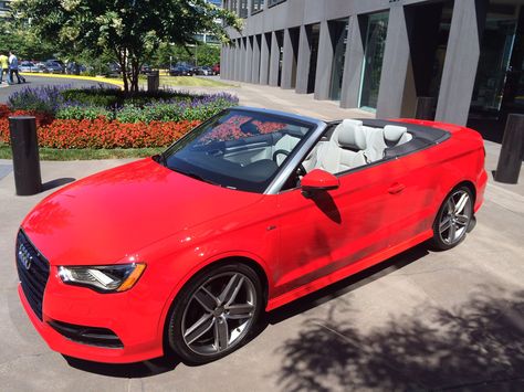 2015,  A3 Cabriolet - Audi USA headquarters Audi A3 Cabriolet, Audi A5, Audi A4, Car Collection, Audi A3, Convertible, Audi, Bmw Car, Bmw