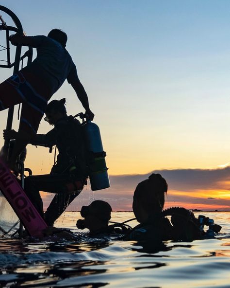 Where was your most memorable sunset in, on, or around the water? 🌎 Bonus points if you were diving! 😉 📷: IG user 'pablosquiza' 🤿: IG user 'julia.waterchild' Scuba Diving Photography, Oceanography, Ocean Vibes, Adventure Sports, Koh Tao, Marine Biology, Summer Dream, Underwater Photography, Ocean Life