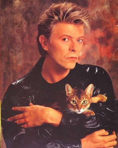 Bowie Cat, Celebrities With Cats, Men With Cats, Very Important Person, Nice People, Eddie Van Halen, People Watching, Ziggy Stardust, Nicolas Cage