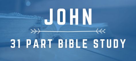 Book of John Free Online Bible Study – ConnectUS Book Of John Bible Journaling, Book Of John Bible Study, God Poems, John Gospel, Popular Verses, Bible Study John, John Bible, The Book Of John, Bible Verse Vinyl