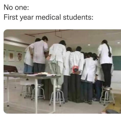 Medical Student Joke, Funny Medical Humor, Med School Memes, Med Student Humor, Getting Your License, Memes About Work, Medical School Humor, Medical School Quotes, Become A Doctor