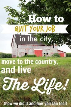 A step-by-step guide to how we left the city life and moved to a big property in the country before the age of thirty. You could too! Quit Job, Living In The Country, Ant Killer, Quitting Job, Farm Living, Future Farms, Farmhouse Decorating, Permaculture Design, Hobby Farm