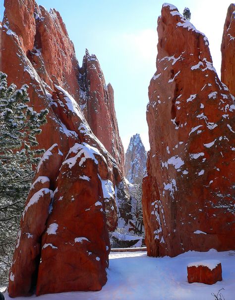 Winters Tale, Garden Of The Gods Colorado, Landscape Reference, Colorado Plateau, Colorado Photography, Visit Colorado, Colorado Winter, Living In Colorado, Garden Of The Gods