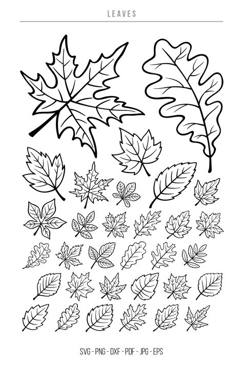 Vactor Leaves SVG, Fall Leaves, Autumn Leaves, SVG, PNG Leaf Drawing Easy, Fall Leaves Images, Leaves Outline, Fall Leaves Drawing, Autumn Drawing, Fall Leaves Svg, Printable Leaves, Leaf Vector, Christian Fall