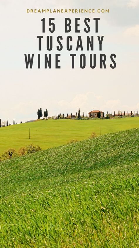 grassy field with tall trees on tuscany wine tours Italy Wine Country, Tuscany Wine Tasting, Tuscany Wineries, Tuscany Wine Tour, Tuscany Wine, Portugal Trip, Europe 2024, Tuscany Travel, Wine Tasting Experience