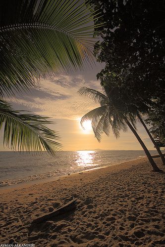 The beach (EXPLORE) | Flickr - Photo Sharing! Sun Setting, I Love The Beach, Jolie Photo, Alam Yang Indah, Beach Scenes, Ocean Beach, Beautiful Sunset, Vacation Spots, Dream Vacations