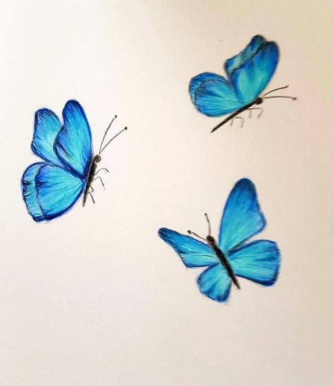 Simple Butterfly Painting, Blue Butterfly Drawing, Blue Colour Things, Butterfly Painting Easy, Blue Butterfly Painting, Butterfly Watercolor Painting, Painting Clipart, Monochromatic Painting, Fly Drawing