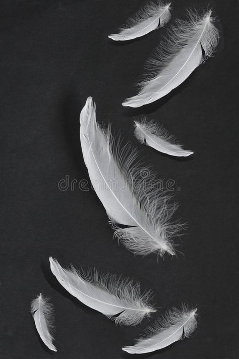 Feathers Aesthetic, Falling Background, Drawing Aesthetics, Candle Recipes, Tattoo Zeichnungen, Giveaway Winner, White Feather, Visual Storytelling, Background Black