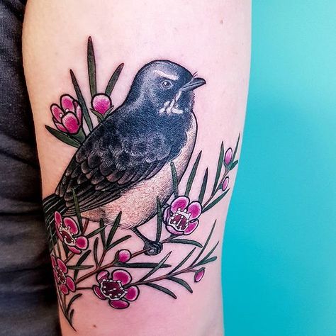 Tattoo Australian Flowers, Geraldton Wax Flower Tattoo, Australian Bird Tattoos For Women, Australian Animal Tattoo Sleeve, Wattle Tattoo Australian, Australian Flora And Fauna Tattoo, Australian Tattoo, Wrap Around Tattoo, Cute Little Tattoos