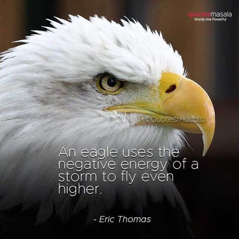 Eagle Quotes, Eagles Quotes, Bald Eagle Photo, Eagle Photos, Quotes For Art, Fly Like An Eagle, Patience Quotes, Eric Thomas, Touch The Sky