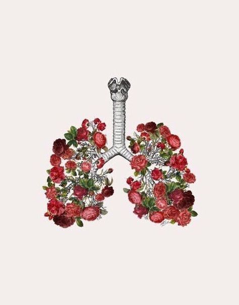 Poumons fleuries Lungs Art, Yuumei Art, Medical Art, Anatomy Art, Lungs, A Drawing, Aphrodite, Art Inspo, Anatomy