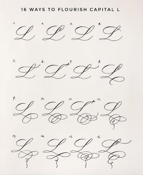 Caligraphy Alphabet Flourish, Flourishes Calligraphy Alphabet, Letter L Calligraphy, Cursive Letters Fancy, Capital L, Calligraphy Writing Styles, Modern Calligraphy Practice, Calligraphy Letters Alphabet, Flourish Calligraphy