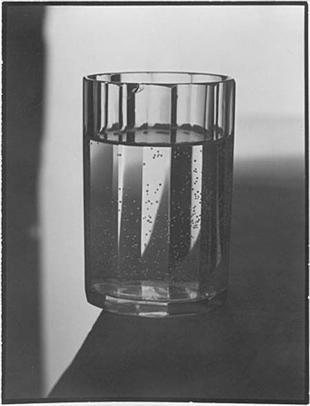 Josef Sudek - 10 Wine Story, Josef Sudek, Neo Romantic, Study Photography, Natural Light Photography, History Of Photography, Bw Photo, Still Life Photography, Light And Shadow