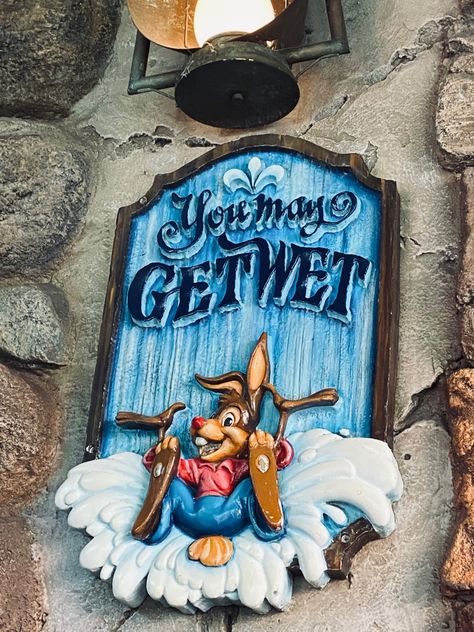 Disney World Rides, Splash Mountain, Disney Rides, Disney Posters, Disney Photography, Disney Songs, Disney Photos, Mouse Birthday, Old Disney