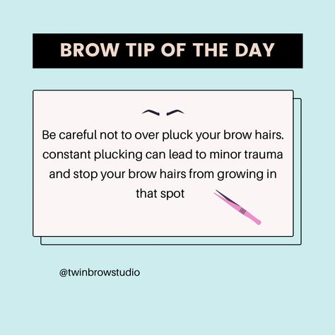 Brow Facts, Brow Artist Content Ideas, Brow Wax Captions, Brow Lamination After Care Instructions, Brow Model Needed Post, Brow Tint Aftercare, Brow Quotes, Brow Stylist, Eyelash Tinting