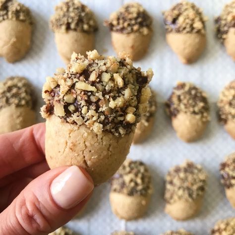 chocolate dipped walnut acorn cookies gluten free #glutenfreerecipes www.healthygffamily.com