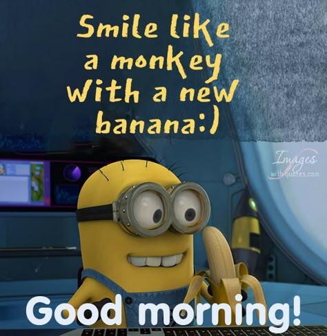 Good Morning Hilarious Laughing, Hilarious Good Morning Quotes Laughing, Funny Good Afternoon Messages, Silly Good Morning Images, Funny Good Morning Images Laughing, Cute Good Morning Quotes Funny Hilarious, Good Morning Gifs Funny Hilarious, Good Morning Humor Hilarious, Silly Good Morning