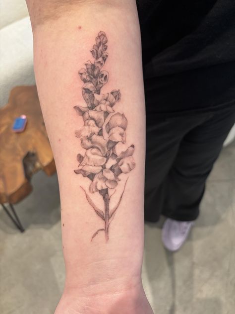 Snapdragon Drawing, Snapdragon Flower Tattoo, Snap Dragon Tattoo, Snapdragon Tattoo, Snapdragon Flowers, Sunflower Tattoos, Dear Future, Dragon Tattoo, Pretty Tattoos