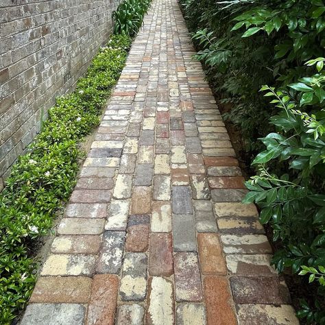 Brick And Gravel Pathway, Recycled Brick Path, Red Brick Garden Path, Recycled Brick Paving, Reclaimed Brick Paving, Recycled Brick Pathway, Simple Brick Pathway, Reclaimed Brick Pathway, Brick Pathway