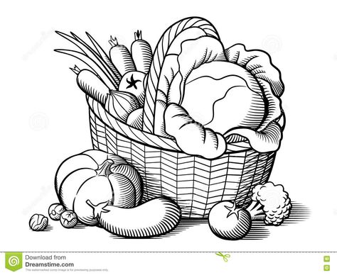 Vegetable Drawing, Basket Drawing, Vegetable Basket, Line Drawings, Clipart Black And White, Drawing Images, Drawing Videos, Art Drawings Sketches, Drawing For Kids