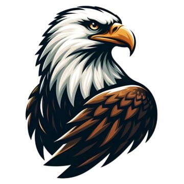 Hawk Cartoon, Falcon Symbol, Eagles Design, Eagle Cartoon, Graphic Cartoon, Esports Games, Mom Swimsuit, Mascot Logo Design, Eagle Mascot