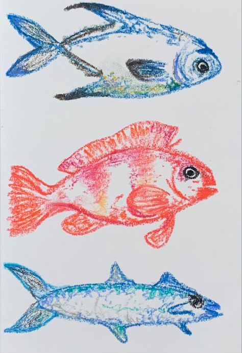 Oil Pastel Sea Animals, Fish Oil Pastel Drawing, Fish Sketch Drawing, Fish Oil Pastel, Pastel Fish, Fish Sketch, Oil Pastel Drawings Easy, Watercolor Portrait Painting, Oil Pastel Art