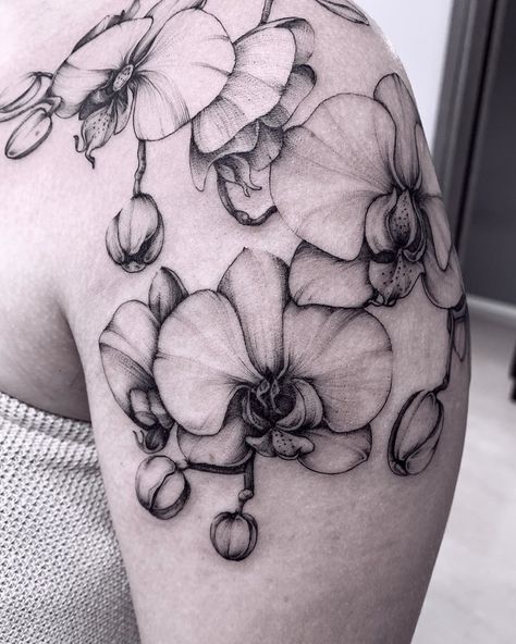 Rebecca Eibenstein on Instagram: “| orchid | #patterntattoo #blackworktattoo #blackart #darkartist #orchid #blackwork #blackworkers #blacktattooart #orchidtattoo…” Tattoo Orchid, Feather Tattoo Ear, Feather Tattoo Placement, Orchid Tattoos, Feather Tattoo Wrist, Purple Flower Tattoos, Feather Tattoo Colour, Tulip Tattoo, Orchid Tattoo