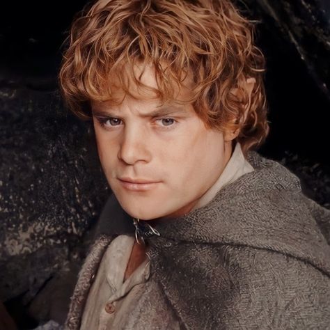 Sean Astin Lord Of The Rings, Samwise Aesthetic, Samwise Gamgee Icon, Samwise Gamgee Aesthetic, Sam Wise Gamgee, Lotr Shifting, Sam Lord Of The Rings, Lotr Icons, Lord Of The Rings Icons