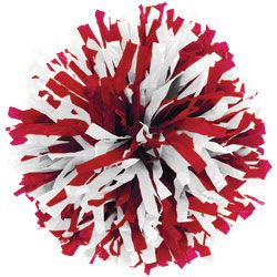 Custom Cheerleading Pom Poms at Omni Cheer Youth Cheerleading, Cheerleader Birthday, Cheerleading Pom Poms, Youth Cheer, Red And White Outfits, Cheer Pom Poms, Red Pom Poms, Cheerleader Costume, Lavender Roses