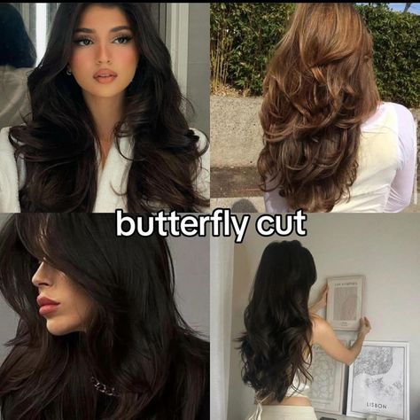 All Posts • Instagram Haircuts For Long Hair With Layers, Butterfly Cut, Hair Inspiration Long, Hairstyles For Layered Hair, Haircuts For Wavy Hair, Haircuts For Medium Hair, Hair Up Styles, Haircuts Straight Hair, Hair Stylist Life