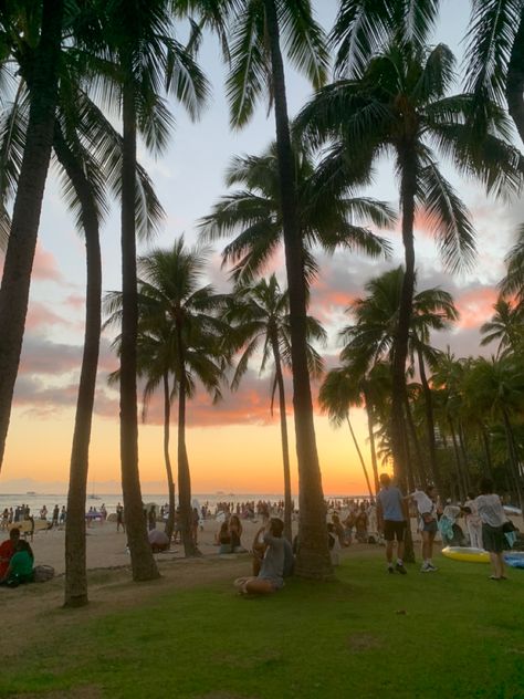 Waikiki Beach Aesthetic, Hawai’i Aesthetic, Waikiki Hawaii Aesthetic, Hawaii Honolulu Aesthetic, Hawaii Living Aesthetic, Hawaii Pacific University Aesthetic, Waikiki Aesthetic, Honolulu Hawaii Aesthetic, Living In Hawaii Aesthetic